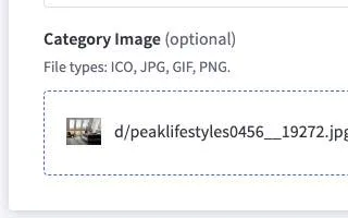 category image input